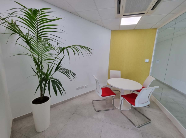 Penthouse Office In Sliema