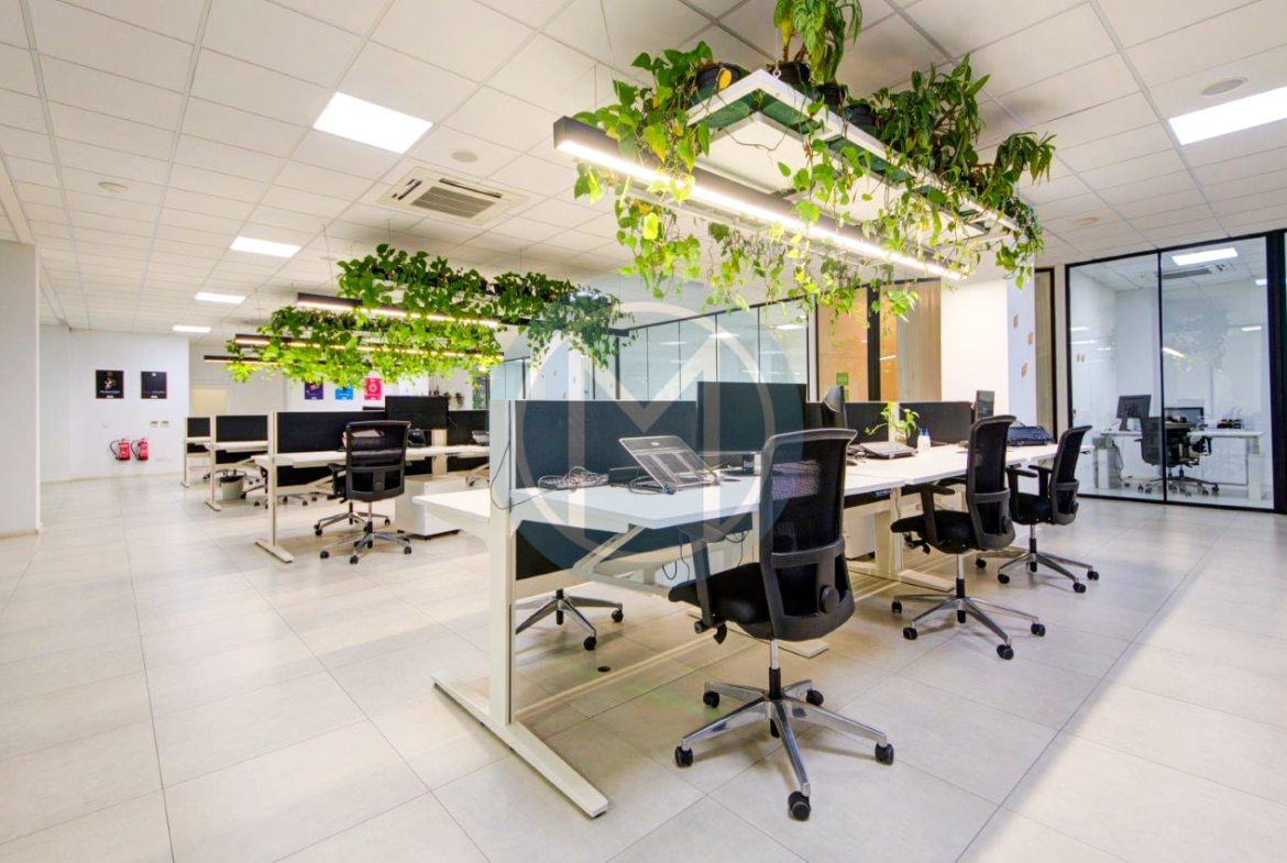 Offices in Swieqi