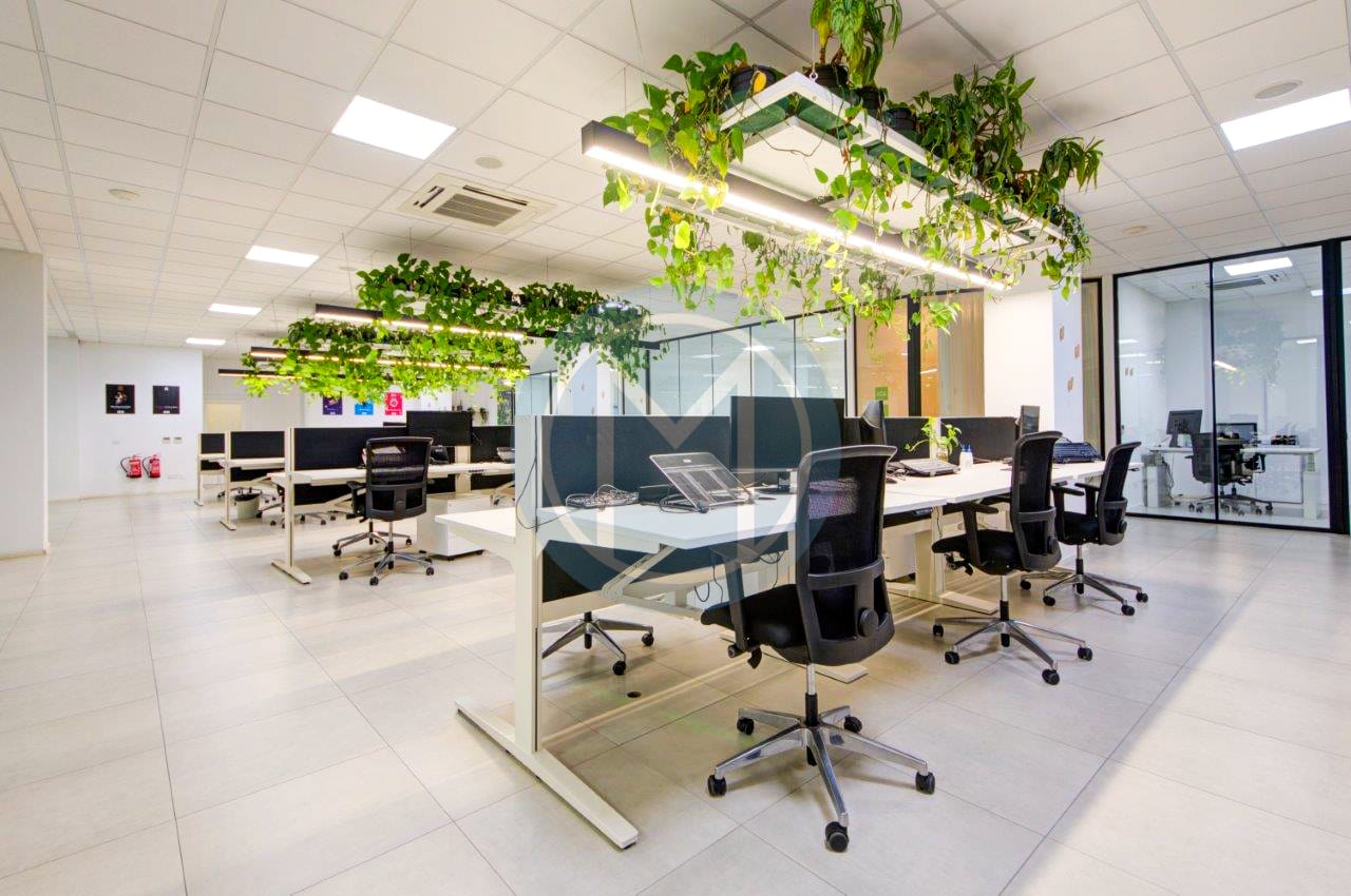 Offices in Swieqi