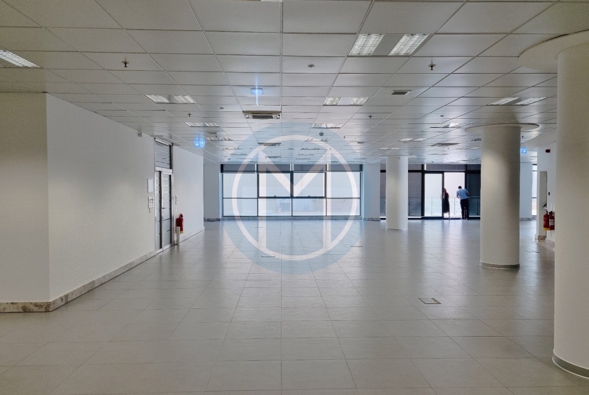 165 SQM Office To Let in St Julians